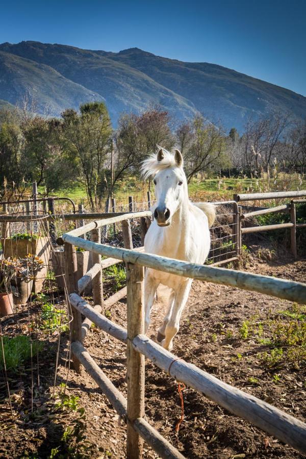 Bed and Breakfast Aasvoelkrans Guest Farm Montagu Exterior foto